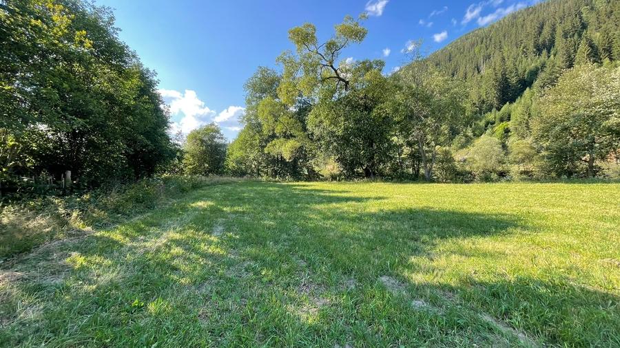 Teren Construcții intravilan de 5500 mp, în Ciocănești