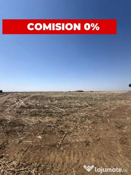 Teren în Sânandrei