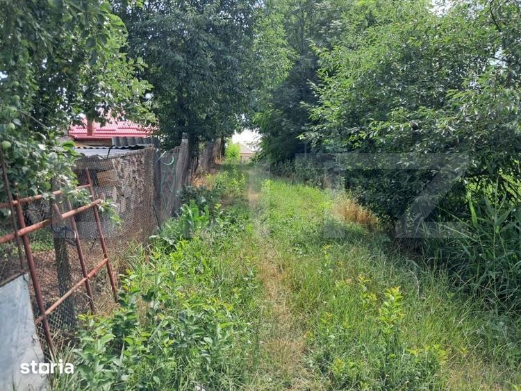Casă cu 3 camere cu Teren 2920 Mp în Criș