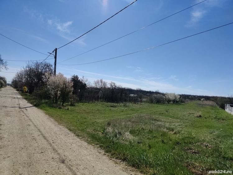 Teren de 4667 mp, în Coșoveni