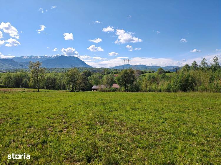 Teren de 5967 mp, în Glăjărie