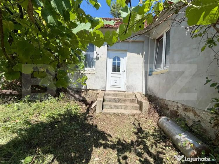 Casă cu 3 camere cu Teren 2674 Mp în Cigmău