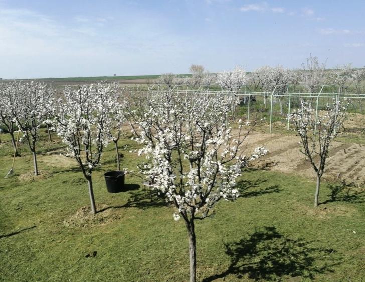Casă cu 4 camere în Bârlogu
