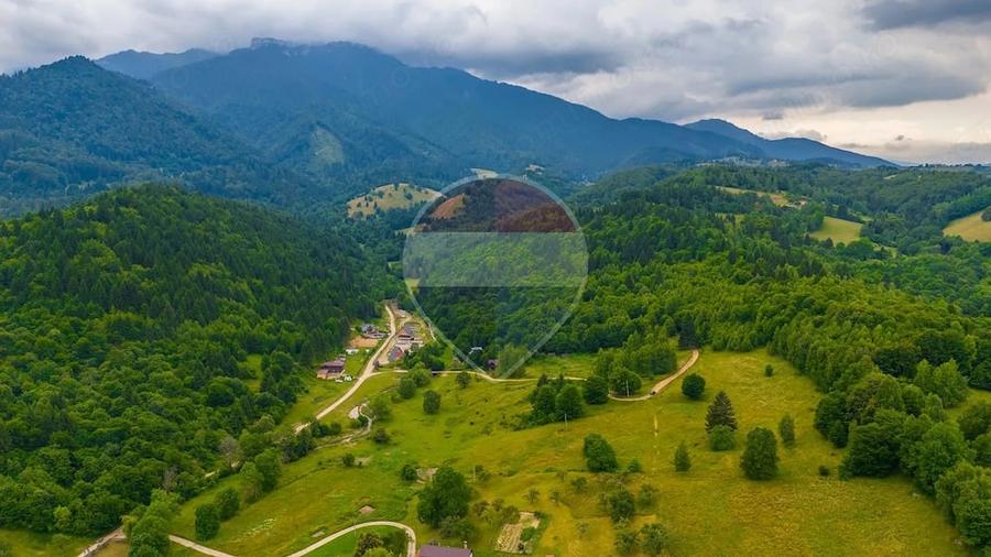 Teren de 2410 mp, în Glăjărie