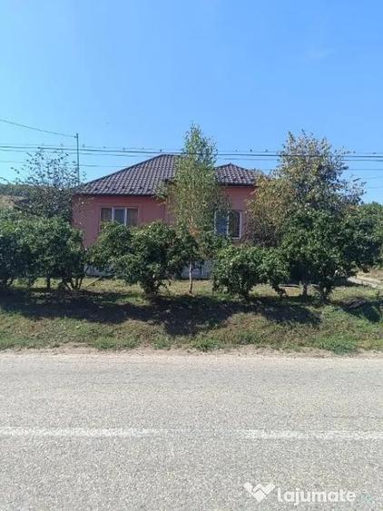 Casă cu 5 camere cu Teren 4925 Mp în Lechința