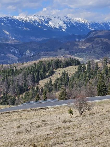 Teren extravilan de 72000 mp, în Dâmbovicioara