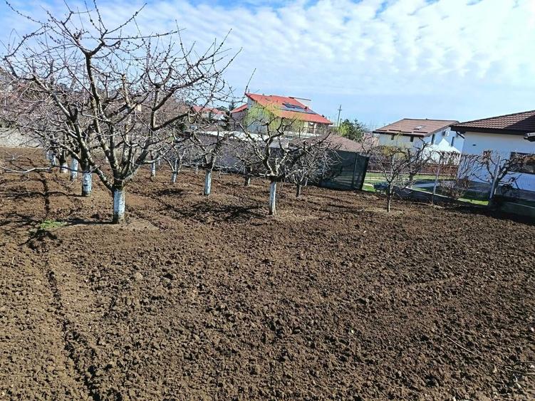 Vils la gri in Buftea, Strada Indepententei,NR 8 ,Calul Balan - 2