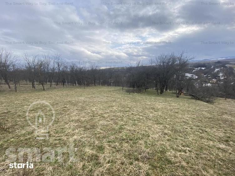 Teren de 5400 mp, în Sava