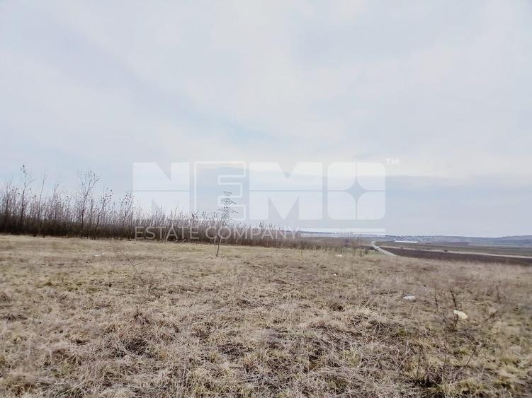 Teren Construcții intravilan de 6000 mp, în Cumpărătura