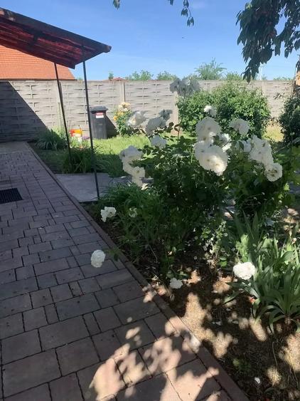 Casă cu 2 camere cu Teren 500 Mp în Central