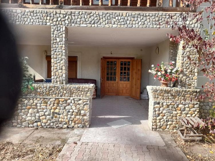 Casă cu 6 camere cu Teren 2600 Mp în Vedea