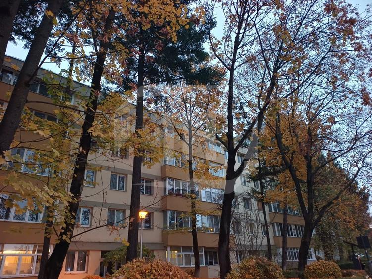 Apartament cu 3 camere decomandat, mobilat în Gheorgheni