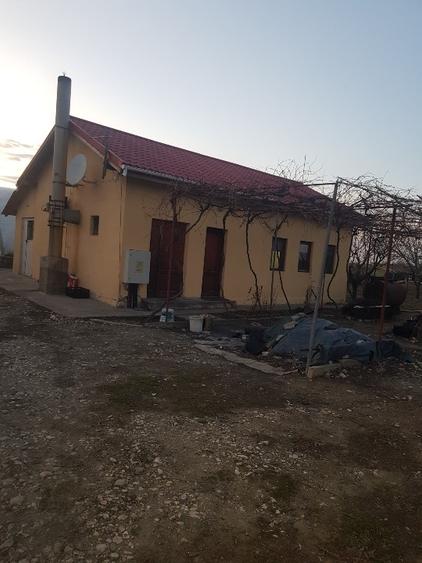 Teren agricol intravilan de 10000 mp, în Mihail Kogălniceanu