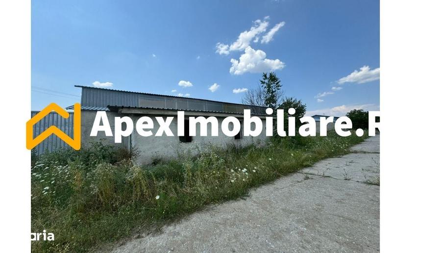 Hale Industriale de Vanzare Baicoi 1100 mp + 800 mp, teren 5500 mp - 10