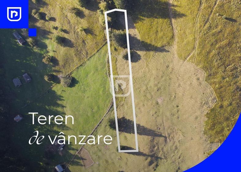 Teren Construcții extravilan de 3197 mp, în Vest