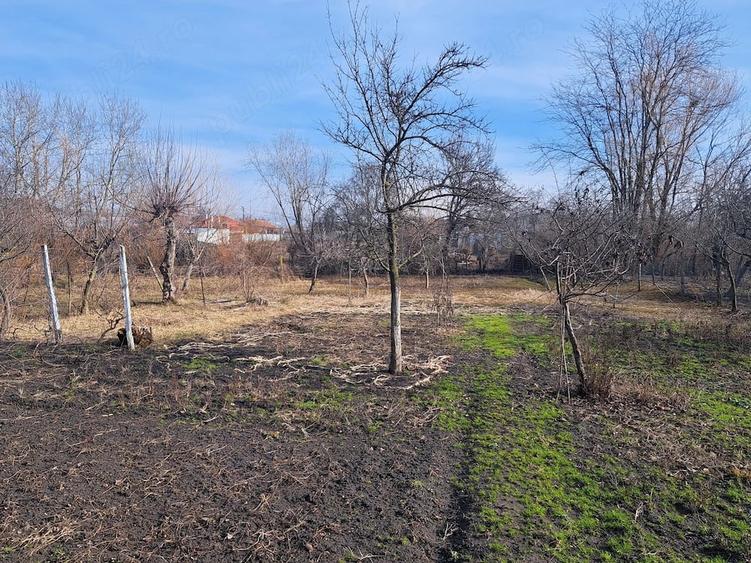 Casă cu Teren 1024 Mp în Central