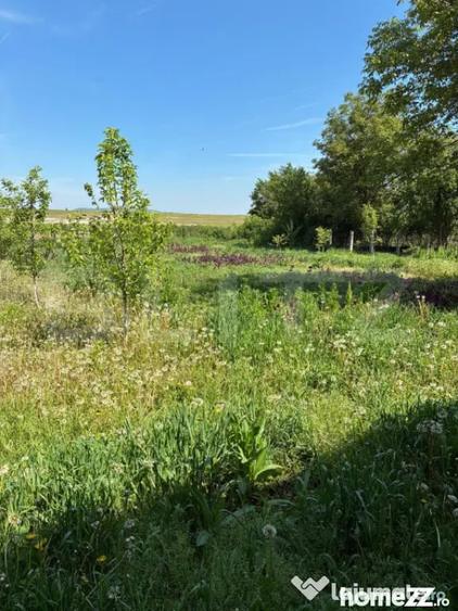 Casă cu 3 camere cu Teren 584 Mp în Central