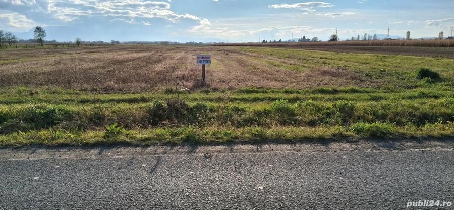 Teren de 2600 mp, în Lunca Ozunului