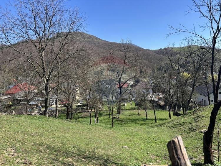 Teren Construcții intravilan de 1106 mp, în Firiza