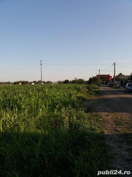 Teren de 2500 mp, în Mărăcineni