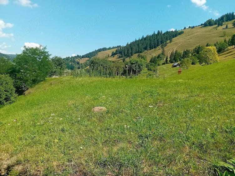 Teren de 5800 mp, în Dămuc