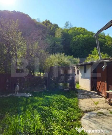 Casa spa?ioasa cu livada, intr-o zona lini?tia la 2 - 12