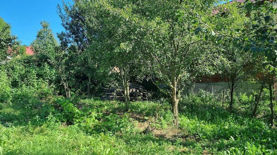 Casă cu Teren 622 Mp în Valea Doftanei