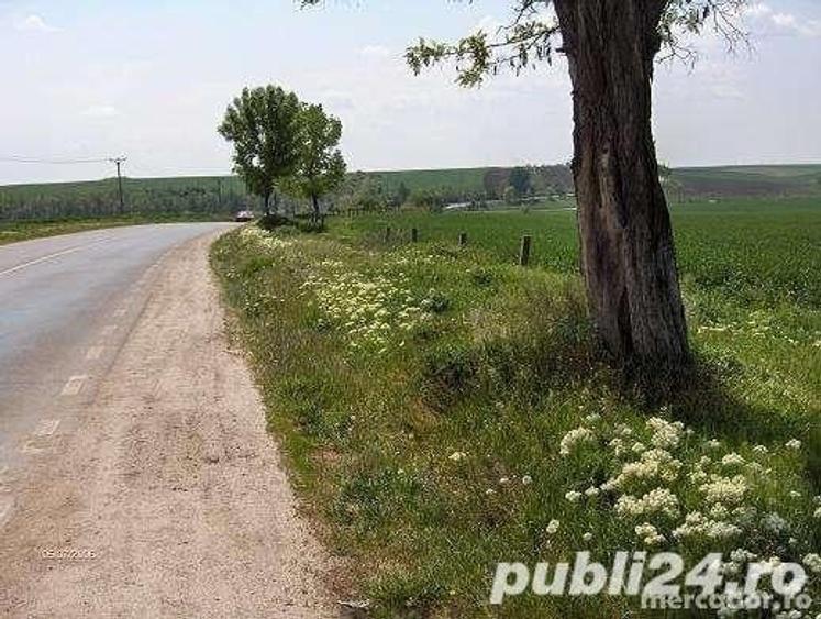 Teren de 45000 mp, în Central