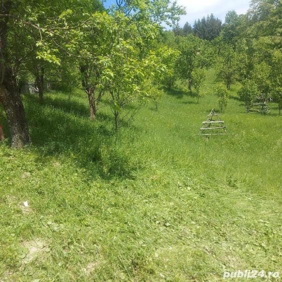 Teren de 7200 mp, în Secăria