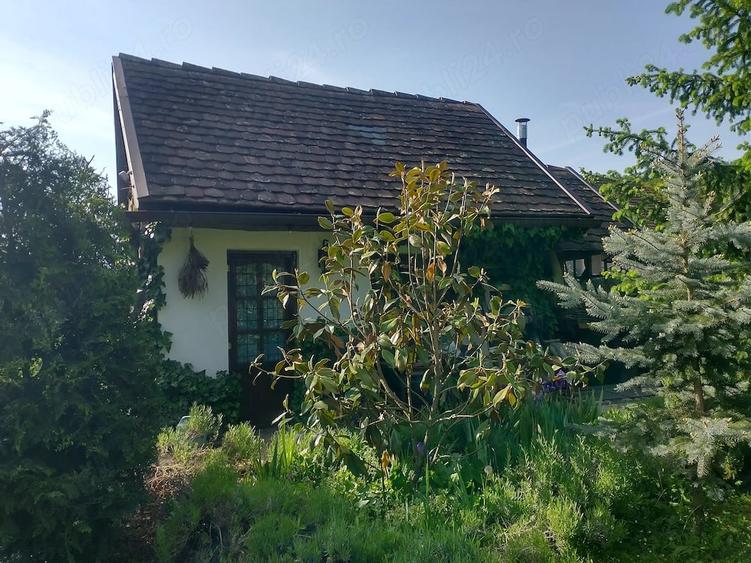 Casă cu 1 camere cu Teren 7500 Mp în Bazna