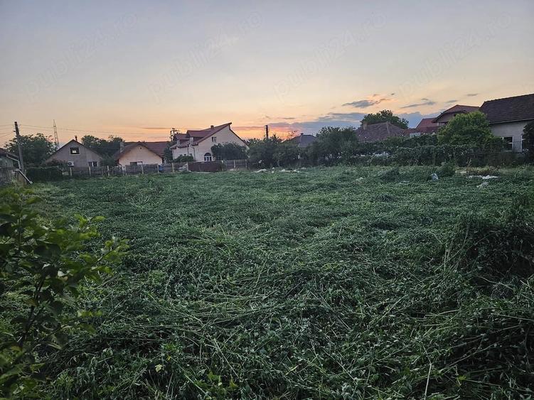 Teren de 2000 mp, în Băcia