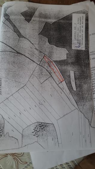 Teren Construcții extravilan de 5800 mp, în Suceagu
