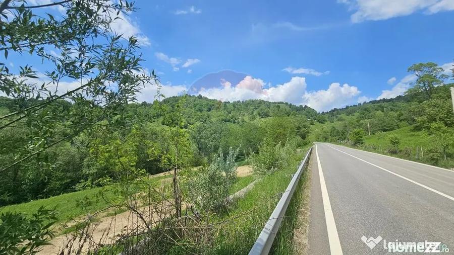 Teren în Chirițeni