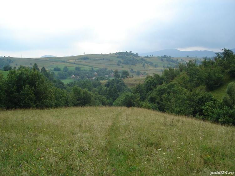 Teren de 25500 mp, în Vișagu
