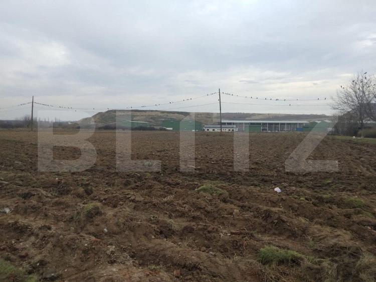 Teren Construcții intravilan de 13000 mp, în Mofleni