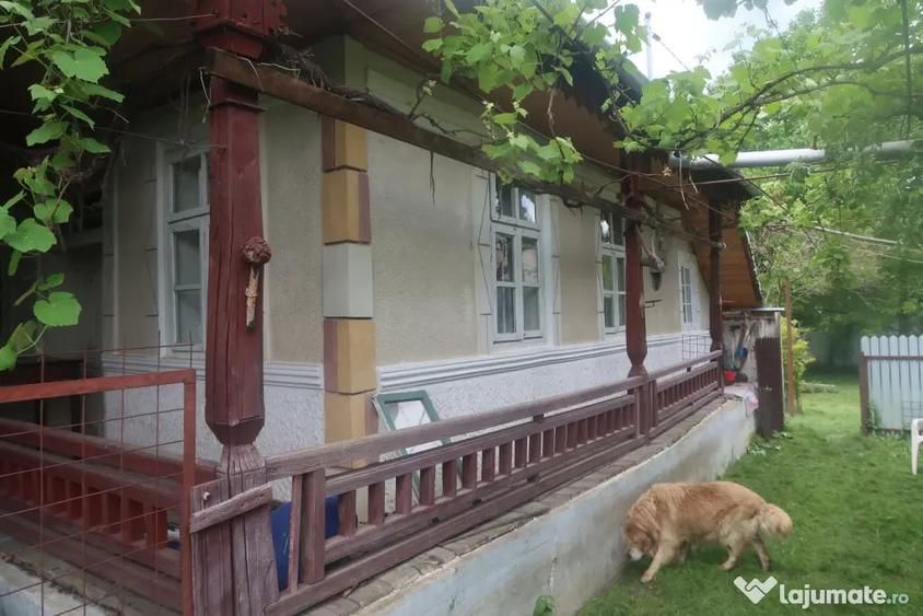 Casă cu 5 camere în Valea Arinilor