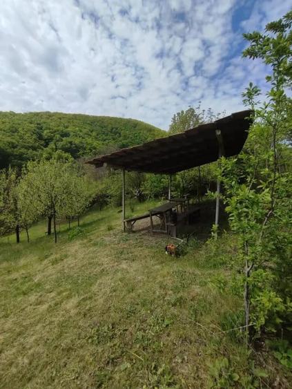Teren de 4430 mp, în Central