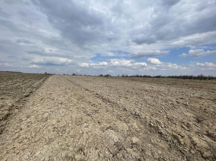 Teren agricol extravilan de 2300 mp, în Horodnic de Sus