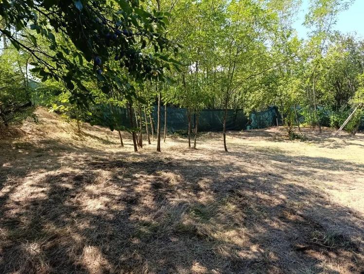 Teren de 2260 mp, în Poiana Lacului