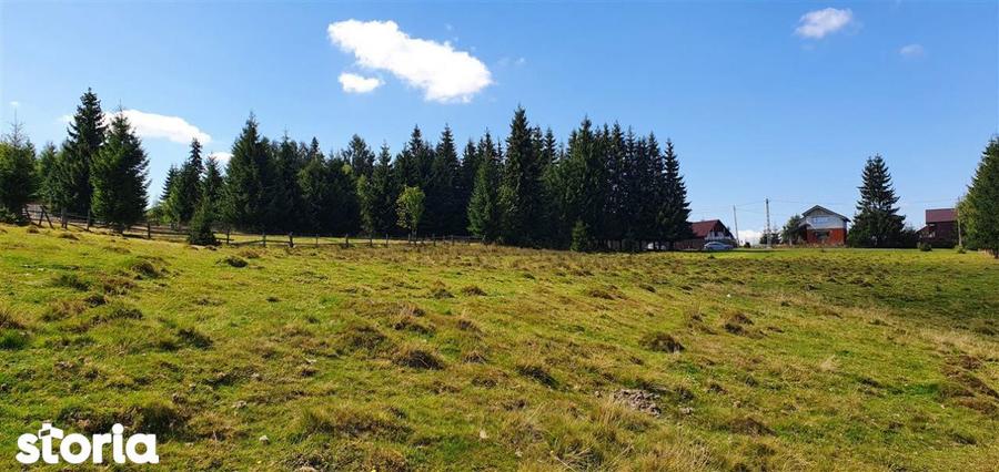 Teren de 1350 mp, în Beliș
