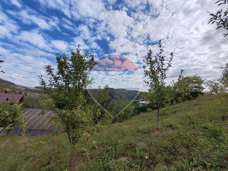 Teren Construcții intravilan de 5474 mp, în Provița de Jos
