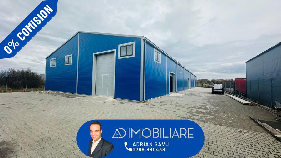 Spațiu industrial, de 1,000 mp, în Narciselor