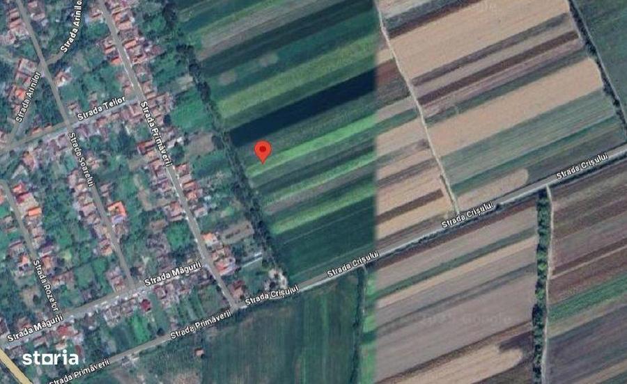 Teren de 8933 mp, în Central