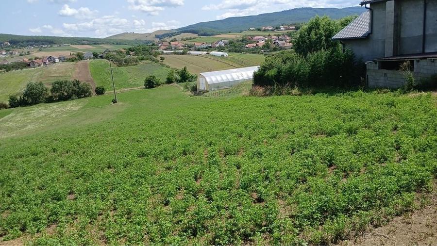 Teren de 3000 mp, în Ortelec