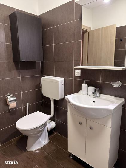 Apartament 2 camere decomandat, mobilat, utilat - Nicolae Grigorescu - 11