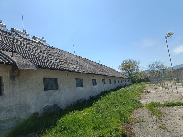 Spațiu industrial, de 1,000 mp, în Budila