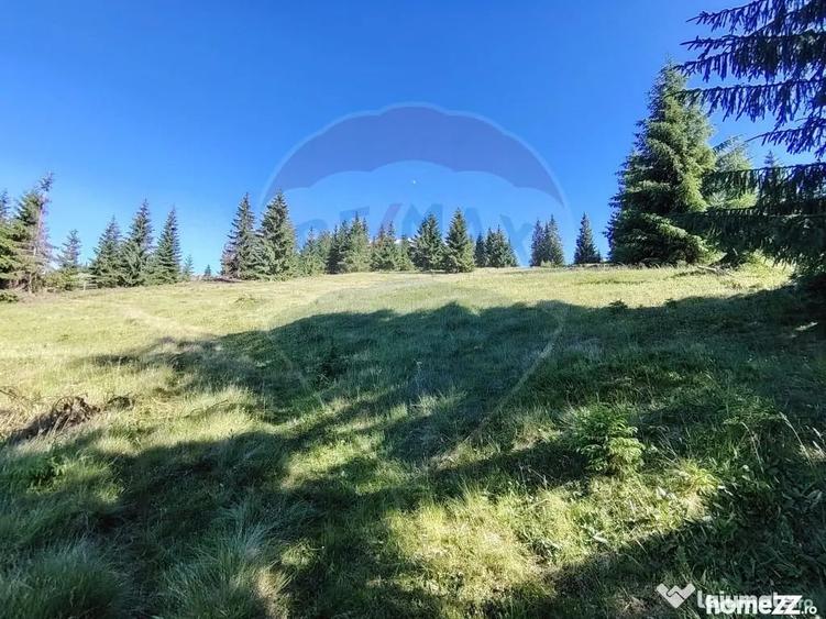 Teren de 47732 mp, în Panaci