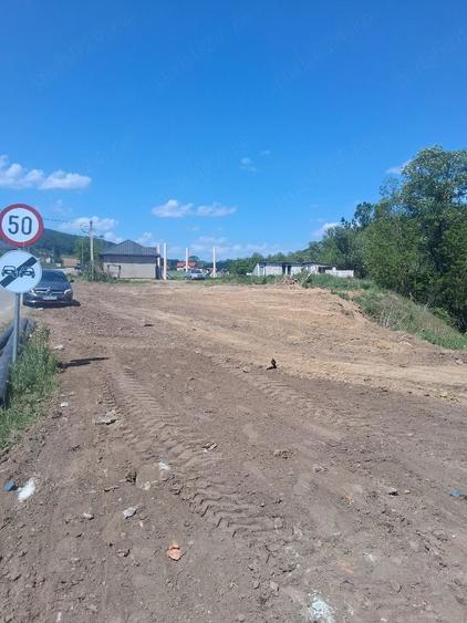 Casă cu Teren 8000 Mp în Panticeu
