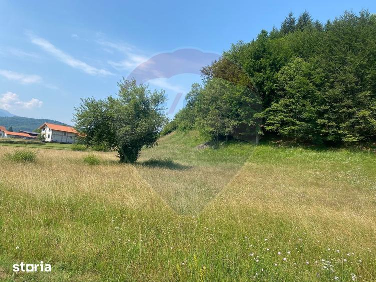 Teren Extravilan 4,306 mp in Vama Buzaului la Strada Principala - 1
