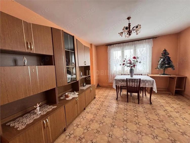 Casă cu Teren 1640 Mp în Satu Nou de Sus